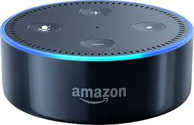 Household Products Amazon Echo